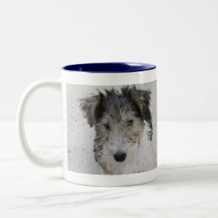 Tasse de Russell