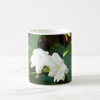 Tasse de Sampaguita