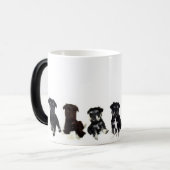 Tasse de Schnauzer miniature (Devant gauche)