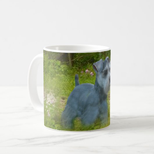 Tasse de Schnauzer miniature (Devant gauche)