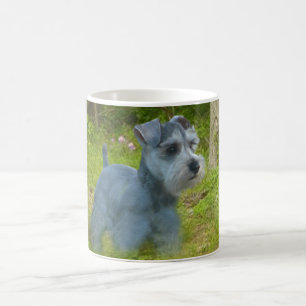 Tasse de Schnauzer miniature