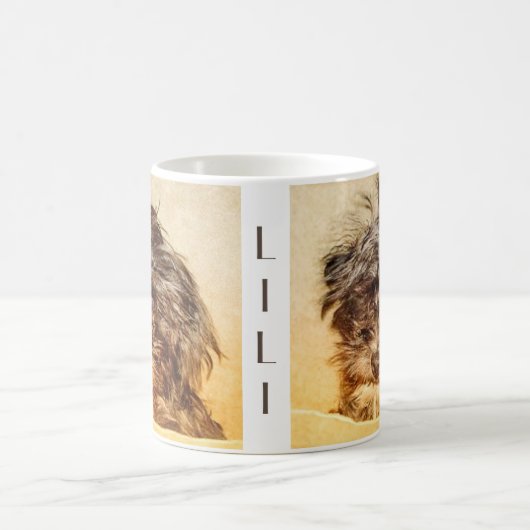 Tasse de Schnoodle (Centre)