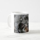 Tasse de Schnoodle (Devant gauche)