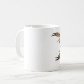 Tasse de scorpion (Devant gauche)