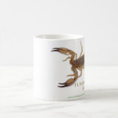 Tasse de scorpion (Centre)
