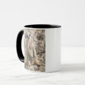 Tasse de Sentinelle-dans-Formation (Devant gauche)