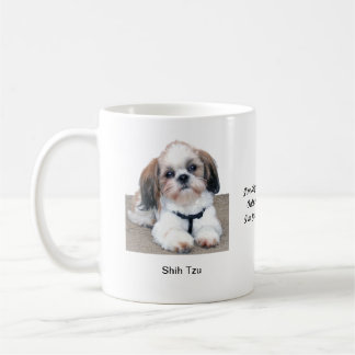 Tasse de Shih Tzu - avec deux images et un motif