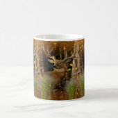 Tasse de signature de cerf de Virginie de fortune (Centre)