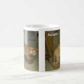 Tasse de signe de zodiaque de chat de Verseau (Centre)