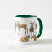 Tasse de sonnerie de cerfs communs coupée la queue (Devant droit)