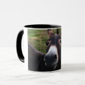 Tasse de sourire d'âne (Devant gauche)