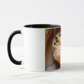 Tasse de sourire de Gecko de léopard (Gauche)