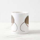 Tasse de souris de cerfs communs (Centre)