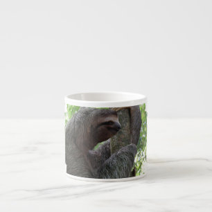 Tasse de spécialité de paresse d'escalade d'arbre