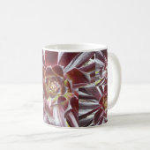 Tasse de succulent de Zwartkop d'Aeonium (Devant droit)
