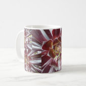 Tasse de succulent de Zwartkop d'Aeonium (Devant gauche)
