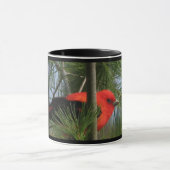 Tasse de Tanager d'écarlate (Centre)