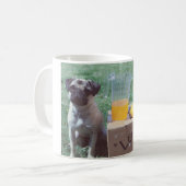 Tasse de tasse de carlin de citrons (Devant gauche)