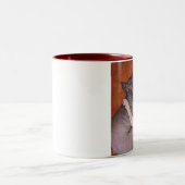 Tasse de temps de petit somme de chats de chat de (Centre)