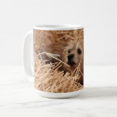 Tasse de Terrier de frontière (Devant gauche)