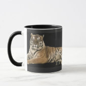 Tasse de tigre (Gauche)