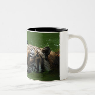 Tasse de tigre de natation