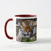 Tasse de tigre de Zambar (Gauche)