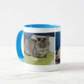 TASSE DE TINK ET DE STEWART (Devant gauche)