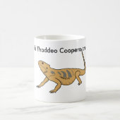 Tasse de tonnelier de Tad ! (Centre)