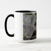 Tasse de tortue de Galapagos (Gauche)