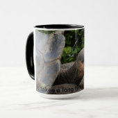 Tasse de tortue de Galapagos (Devant gauche)