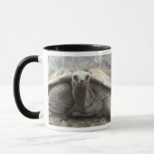 Tasse de tortue de Galapagos (Gauche)