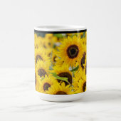 tasse de tournesol de haute qualité (Centre)