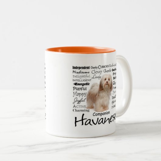 Tasse de traits de Havanese (Devant droit)