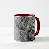 Tasse de Trilobite (Devant droit)