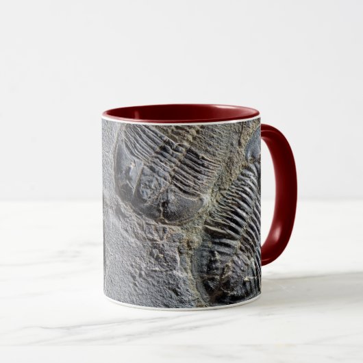 Tasse de Trilobite (Devant droit)