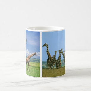 Tasse de troupeau de Girafes