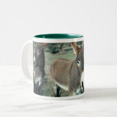 Tasse de Truby (Devant gauche)