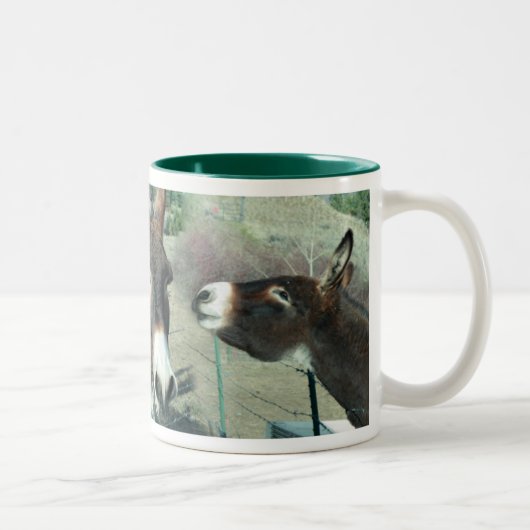 Tasse de Truby (Droit)