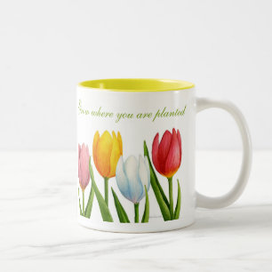 Tasse de tulipe de ressort