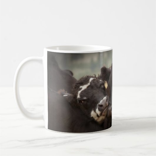 Tasse de vache (Gauche)