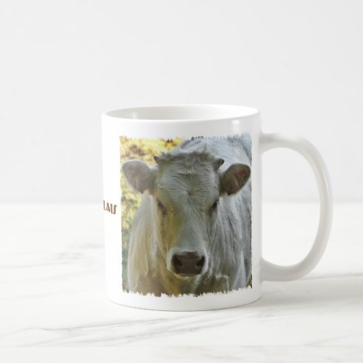 Tasse de vache du charolais (Droite)