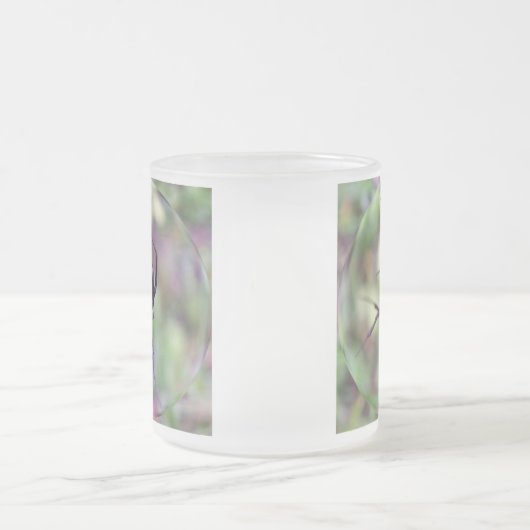 Tasse de veuve noire (Centre)