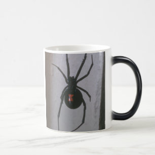 Tasse de veuve noire