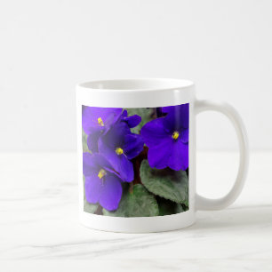 Tasse de violette africaine