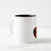 Tasse de violon (Devant gauche)