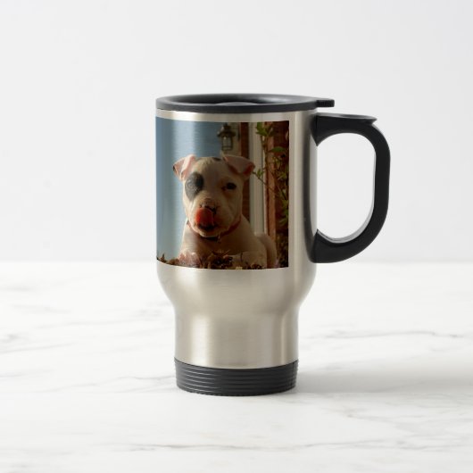 tasse de voyage de chien (Droit)