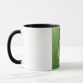 Tasse de Warwick (Gauche)