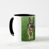 Tasse de Warwick (Devant gauche)