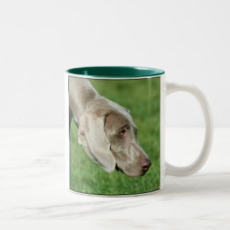 Tasse de Weimaraner